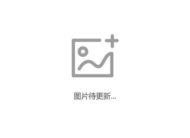 公司半岛（中国）待更新.....